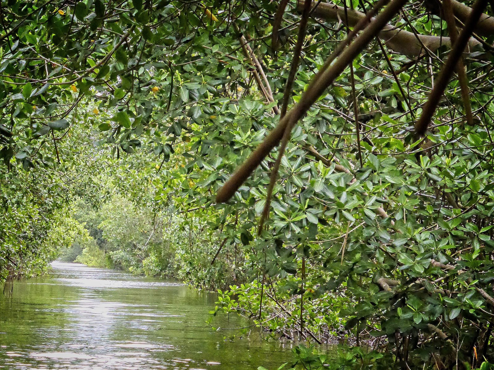 1P1000244 (2015_09_14 01_00_11 UTC)